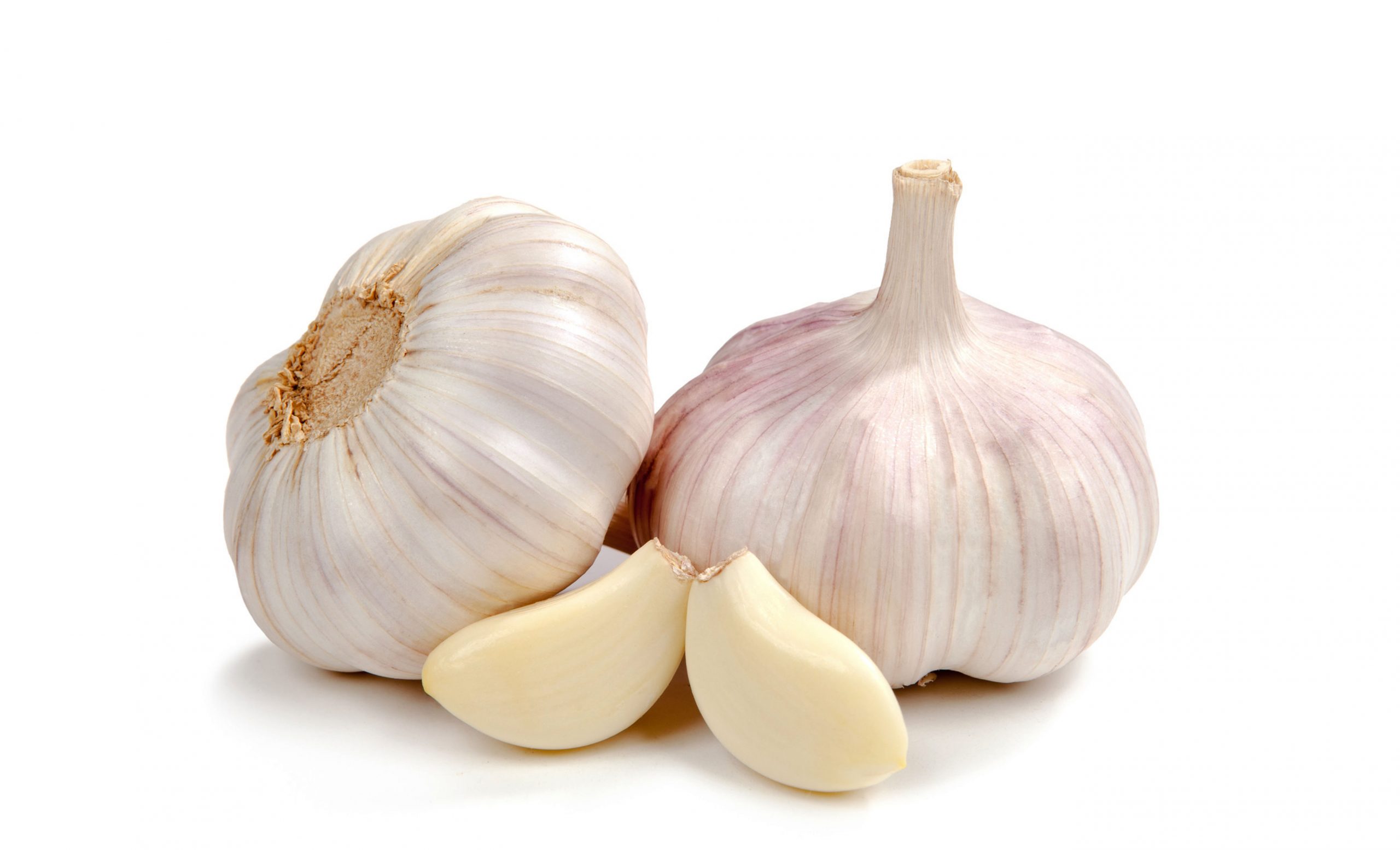 Garlic, the Mosquito Repellent
